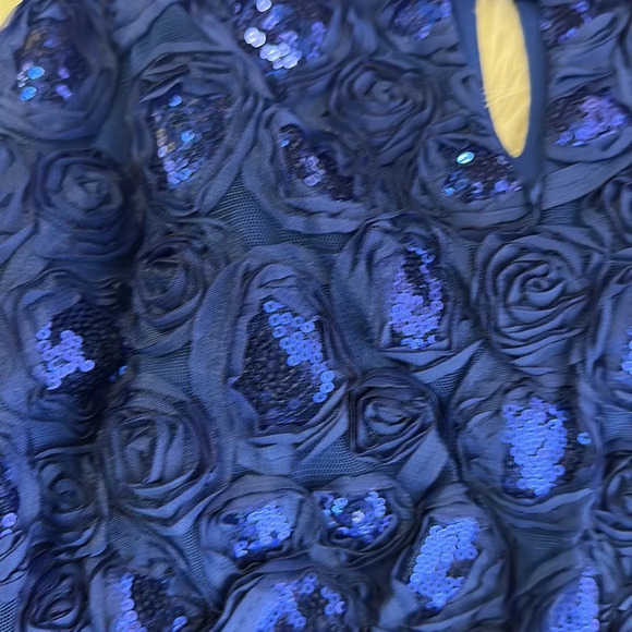 NWT En Focus Studio Royal Blue Empire waist Sequins Maxi Dress Sz 12 - Picture 8 of 14